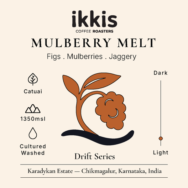 MULBERRY MELT