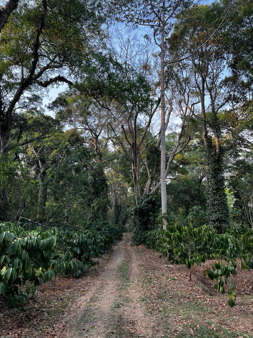 1583333e-f381-4e12-8a76-4583582a1649 (1).JPG__PID:08f844ef-000e-45bf-a15f-5479d3c9e538